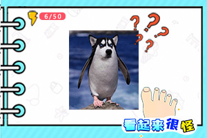 爱游戏ayx体育登录手机app下载