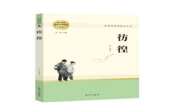 《彷徨》的读后感7篇