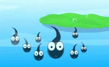 蝌蚪幼儿园教案优秀7篇