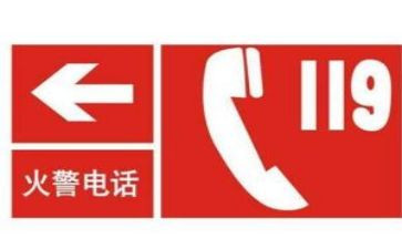 小学生119讲话稿精选5篇