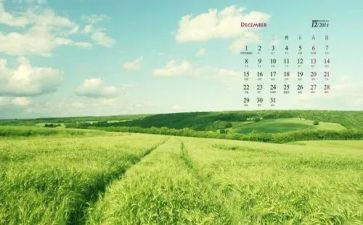 2024年12月份个人总结7篇