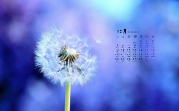 大班12月份工作计划7篇