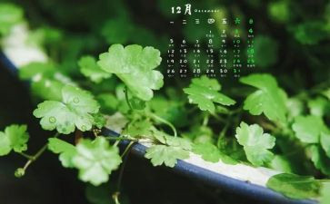 小班12月份工作计划8篇