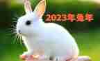 2023小学音乐工作计划7篇