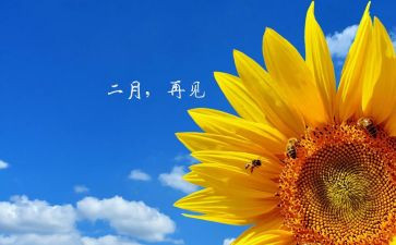2月的工作总结模板8篇