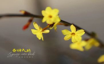大班2月总结7篇