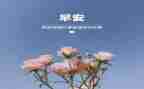 3月幼儿工作计划6篇