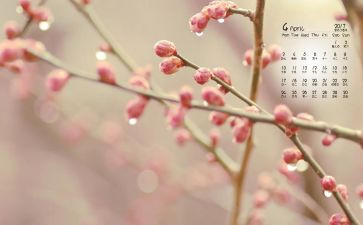 幼儿园中班4月份班级工作总结6篇