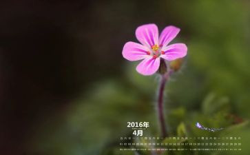 4月份工作总结范文5篇