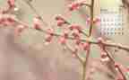 幼儿园中班4月份班级工作总结6篇