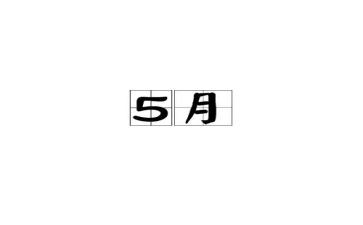 领导在5月的讲话稿7篇