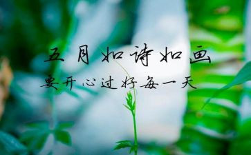 幼儿园大班5月份工作计划7篇