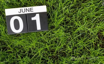 6月份小班工作计划7篇