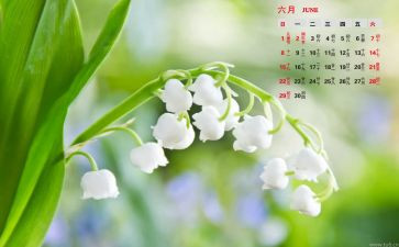 2024年幼儿园小班6月份工作计划6篇
