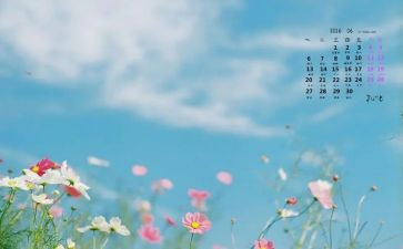 6月5安全心得体会通用7篇