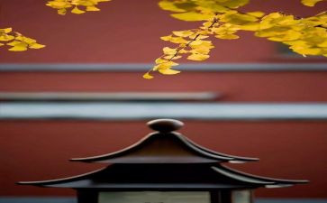 8月份工作计划7篇