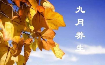 9月工作报告8篇