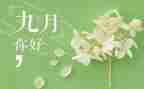 9月工作计划8篇