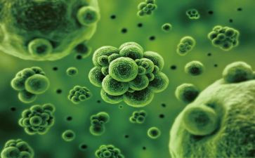 生物实验课心得体会5篇