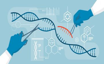生物八上教案精选5篇