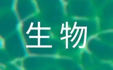 高二下学期生物工作计划8篇