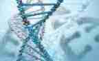 生物八上教案模板7篇