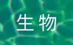 高二下学期生物工作计划8篇