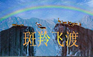 斑羚飞渡读后感7篇