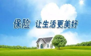 保险的工作计划8篇