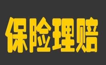 保险公司月计划8篇