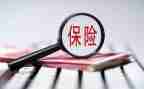 保险的体会和心得优质6篇