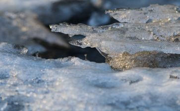 冰雪运动心得体会7篇