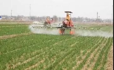 大班播种子教案5篇