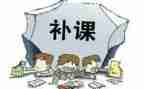 给小学生补课的心得体会7篇