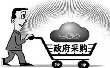 采购半年度工作总结模板5篇