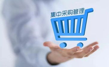 采购计划工作总结精选8篇