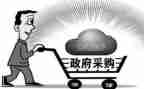 采购半年度工作总结模板5篇