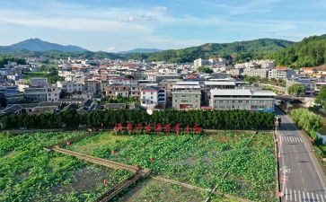 参观才溪心得体会通用7篇