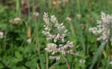 烟草工作总结5篇