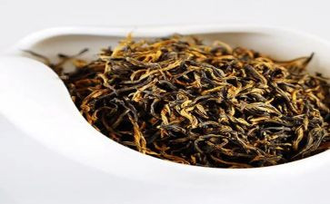 有关茶的调研报告6篇
