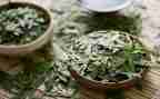 有关茶的调研报告推荐6篇