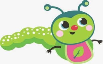 昆虫及读后感模板8篇