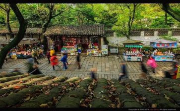 猫闯祸了作文6篇