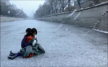 猫闯祸了作文通用5篇