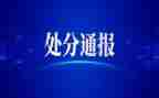 要处分申请书精选7篇