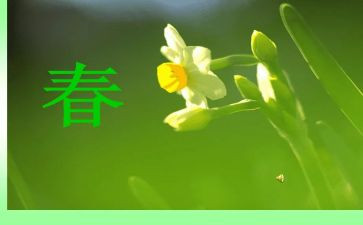 爱的教育春的读后感通用7篇