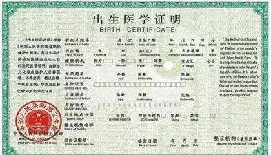 补办出生证明申请书5篇