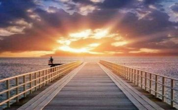 从零开始的演讲稿通用8篇