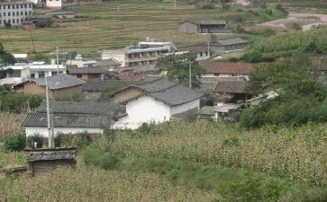 村卫生室心得体会6篇