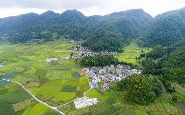 村卫生站工作总结报告8篇